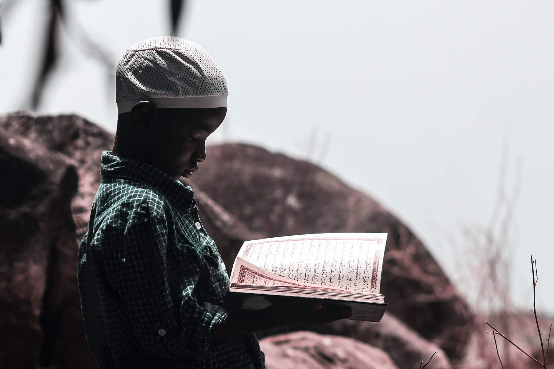Niño leyendo libro
